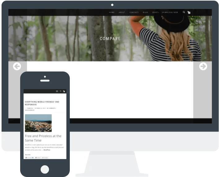 ShopIsle WordPress Theme