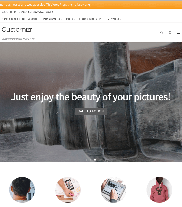 customizr wordpress theme free