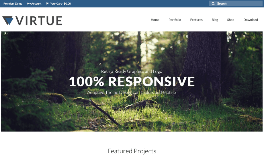virtue wordpress free theme