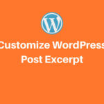 WordPress Post Excerpt