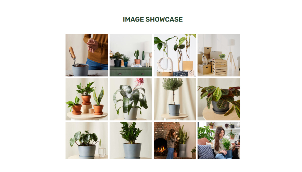Image Gallery in Elementor