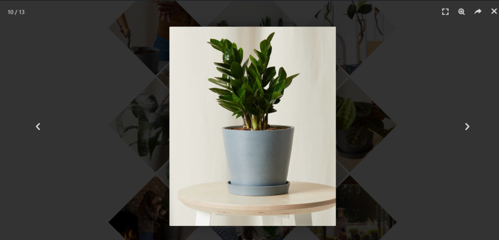 Image Gallery in Elementor